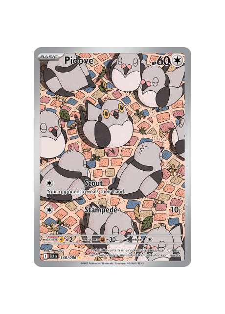 Pokémon TCG - BLK EN 148/086 - Pidove