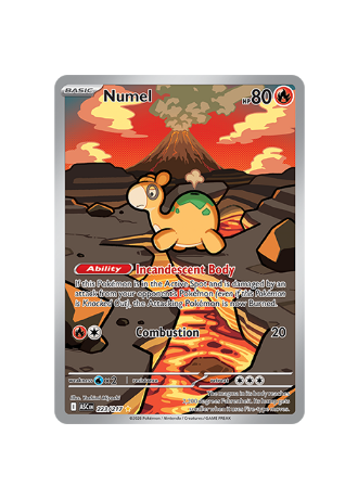 Pokémon TCG - ASC EN 223/217 - Numel